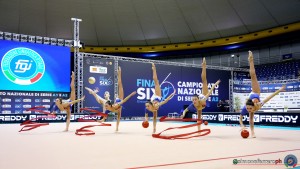 esibizioni farfalle ph simone ferraro sfa06779 copia